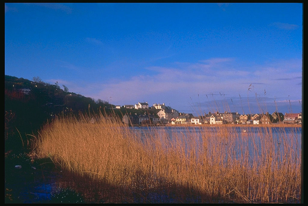 И на этой фотографии Девон (Devon)