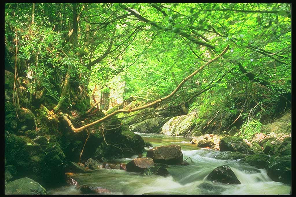 Снова Девон (Devon)