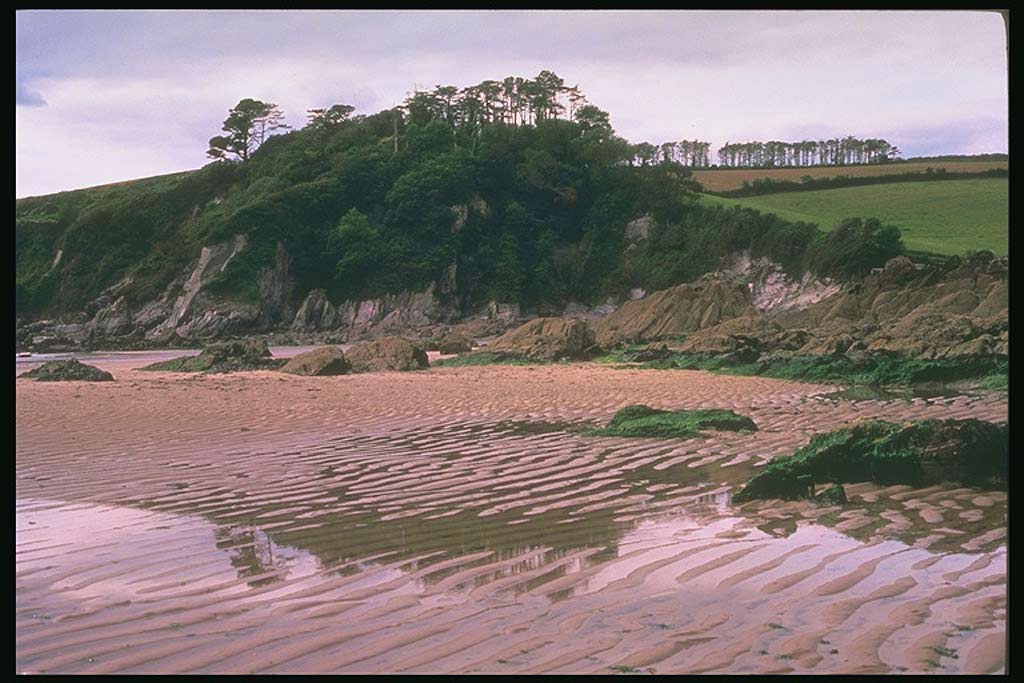 И на этой фотографии Девон (Devon)
