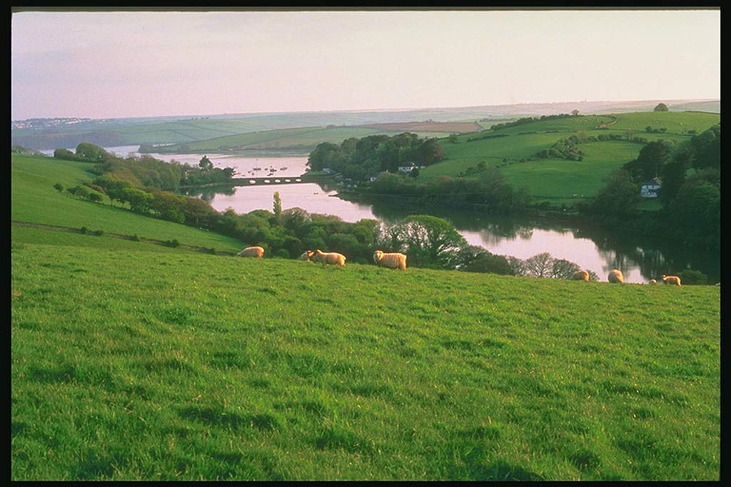 И тут Девон (Devon)