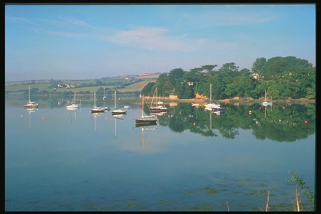 И на этой фотографии Девон (Devon)